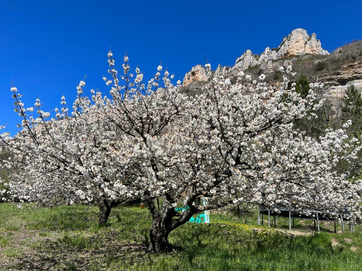 Gite Du Vallon Des Sources Мийо Екстериор снимка